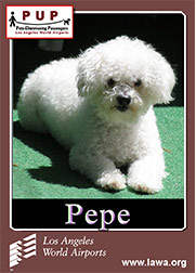 pups_pepe.png