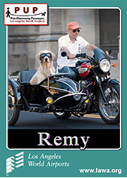 pups_remy.png