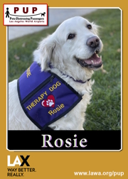 pups_rosie.png