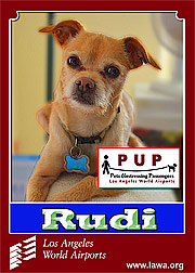 pups_rudi.png