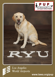 pups_ryu.png