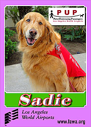 pups_sadie.png