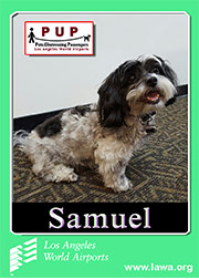pups_samuel.png