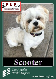 pups_scooter.png