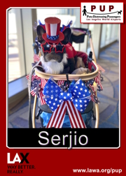 pups_serjio.png