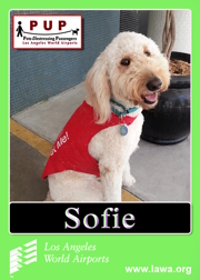 pups_sofie.png