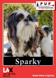 pups_sparky.png
