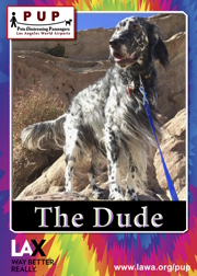 pups_the_dude.png