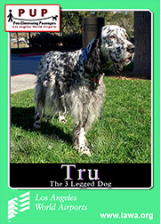 pups_tru.png