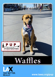 pups_waffles.png