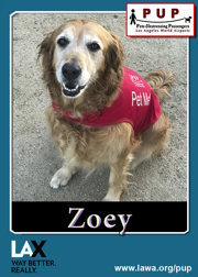 pups_zoey.png