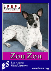 pups_zouzou.png